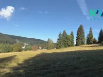 Prodej louky, Pernink, 25316 m2