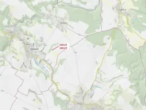 Dražba lesa, Oslavany, 919 m2