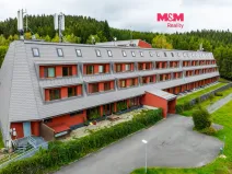 Prodej bytu 1+kk, Ostružná - Ramzová, 30 m2