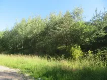 Dražba pozemku, Nové Strašecí, 860 m2