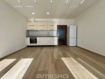 Pronájem bytu 1+kk, Brno, Věstonická, 38 m2