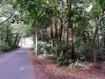 Prodej lesa, Mostkovice, 576 m2