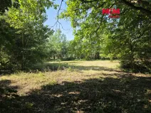 Prodej pozemku pro bydlení, Bor - Boječnice, 1093 m2