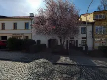 Pronájem bytu 3+kk, Písek, Gregorova, 106 m2