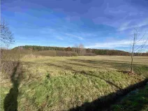 Dražba louky, Vodňany, 2663 m2