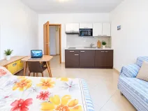 Prodej bytu 1+kk, Brno, Vranovská, 29 m2