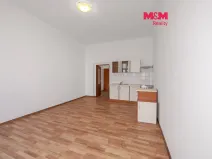 Pronájem bytu 1+kk, Plzeň - Východní Předměstí, Koterovská, 43 m2