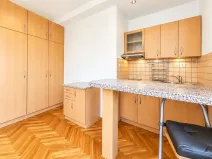 Pronájem bytu 1+kk, Praha - Žižkov, Biskupcova, 30 m2