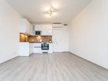 Pronájem bytu 1+kk, Brno, Opuštěná, 29 m2