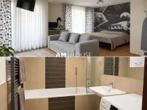 Pronájem bytu 1+kk, Praha - Podolí, K sídlišti, 45 m2