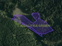 Prodej lesa, Hovězí, 9912 m2