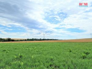 Prodej pozemku pro bydlení, Svobodné Heřmanice, 4411 m2