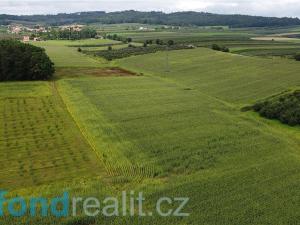 Prodej zemědělské půdy, Malovice - Krtely, 4926 m2