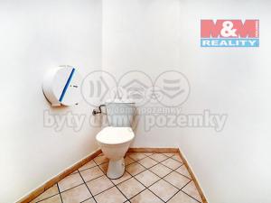 Pronájem obchodního prostoru, Plzeň - Východní Předměstí, Pražská, 150 m2