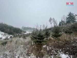 Prodej lesa, Vidochov - Stupná, 4368 m2