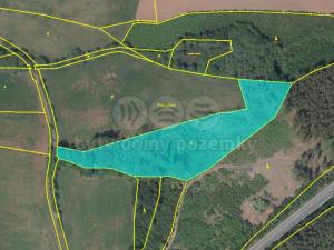 Prodej lesa, Úbislavice, 13753 m2