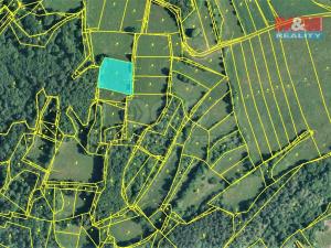 Prodej trvalého travního porostu, Blansko, 2185 m2