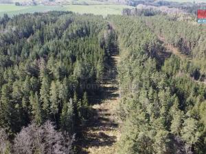 Prodej lesa, Netřebice, 9975 m2