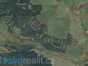 Prodej zemědělské půdy, Dolní Dvořiště - Jenín, 44378 m2