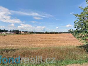 Prodej zemědělské půdy, Radošovice - Tupesy, 7914 m2