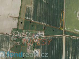 Prodej zemědělské půdy, Radošovice - Tupesy, 7914 m2