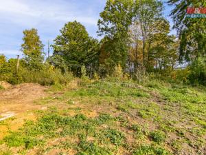 Prodej pozemku pro bydlení, Kynšperk nad Ohří, 1296 m2