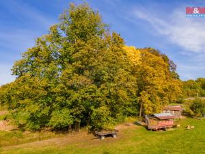 Prodej pozemku pro bydlení, Kynšperk nad Ohří, 1296 m2