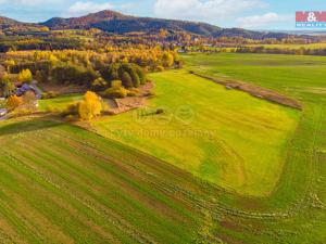 Prodej trvalého travního porostu, Radvanec, 13224 m2