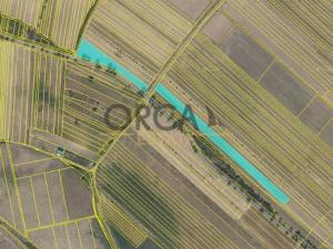 Prodej zemědělské půdy, Moravský Písek, 11506 m2