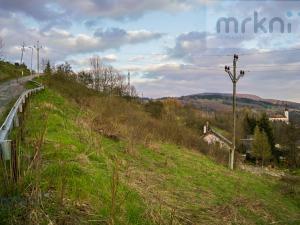 Prodej pozemku pro komerční výstavbu, Branná, 1052 m2