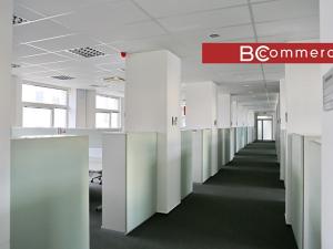 Pronájem kanceláře, Brno, Purkyňova, 600 m2
