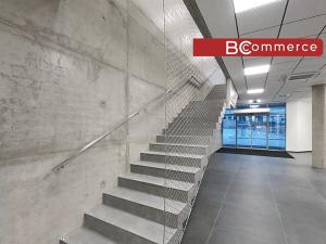 Pronájem obchodního prostoru, Brno, Polní, 460 m2