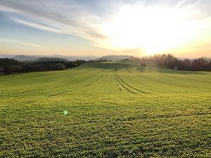 Prodej pozemku pro bydlení, Pyšely, 1027 m2