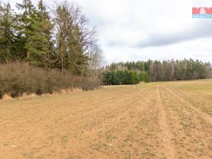 Prodej trvalého travního porostu, Vysočina - Možděnice, 108437 m2