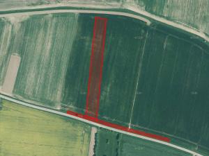 Prodej zemědělské půdy, Dražíč, 4916 m2