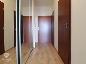 Pronájem bytu 1+kk, Praha - Vysočany, Freyova, 33 m2