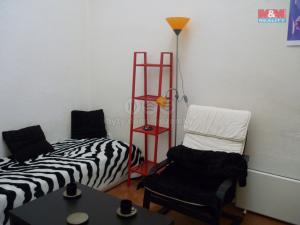 Pronájem bytu 1+kk, Praha - Vinohrady, Mánesova, 15 m2