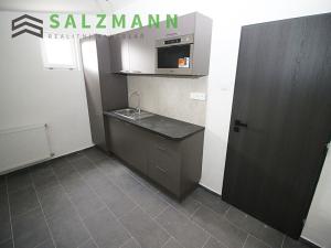 Pronájem komerční nemovitosti, Plzeň, Skladová, 373 m2