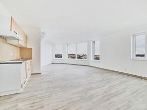 Pronájem bytu 1+kk, Plzeň, Železniční, 43 m2