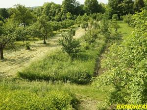 Prodej zahrady, Rousínov, Trnečkova, 940 m2