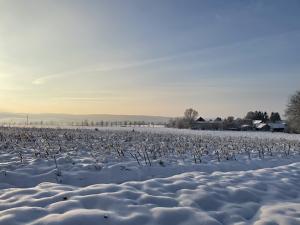 Prodej pozemku pro bydlení, Rožďalovice, 959 m2