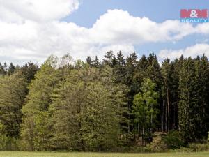 Prodej lesa, Třebětín - Hostkovice, 11614 m2