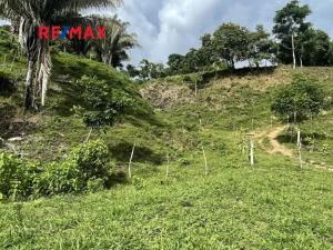 Prodej pozemku pro bydlení, Golfito, Kostarika, 104393 m2