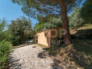 Prodej chalupy, Casale Marittimo, Itálie, 43 m2