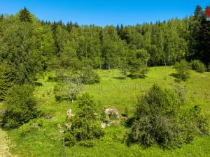 Prodej pozemku pro bydlení, Jablonec nad Jizerou - Buřany, 3503 m2