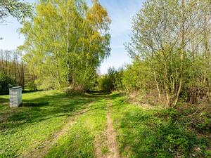 Prodej rybníku, Horní Stropnice, 15376 m2