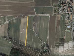 Prodej zemědělské půdy, Vrbice, 5320 m2
