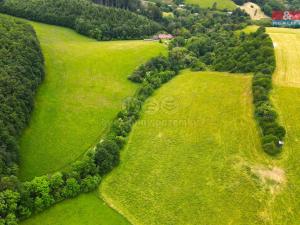 Prodej trvalého travního porostu, Staré Hutě, 11031 m2