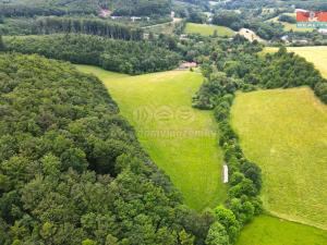 Prodej trvalého travního porostu, Staré Hutě, 11031 m2