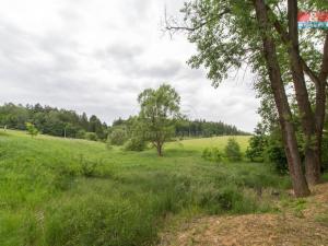 Prodej trvalého travního porostu, Velké Popovice - Mokřany, 1524 m2